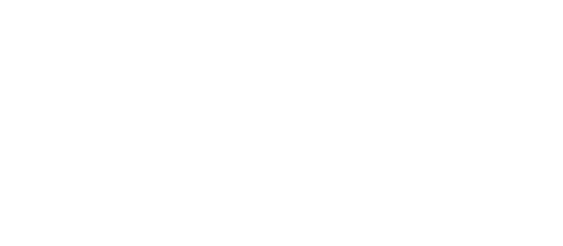 Nashville Kung Fu Logo white