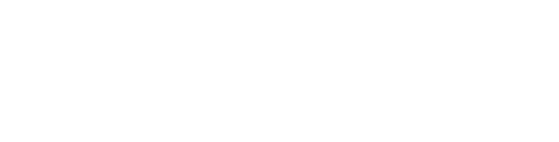 Nashville Kung Fu Wing Chun & Combatives white